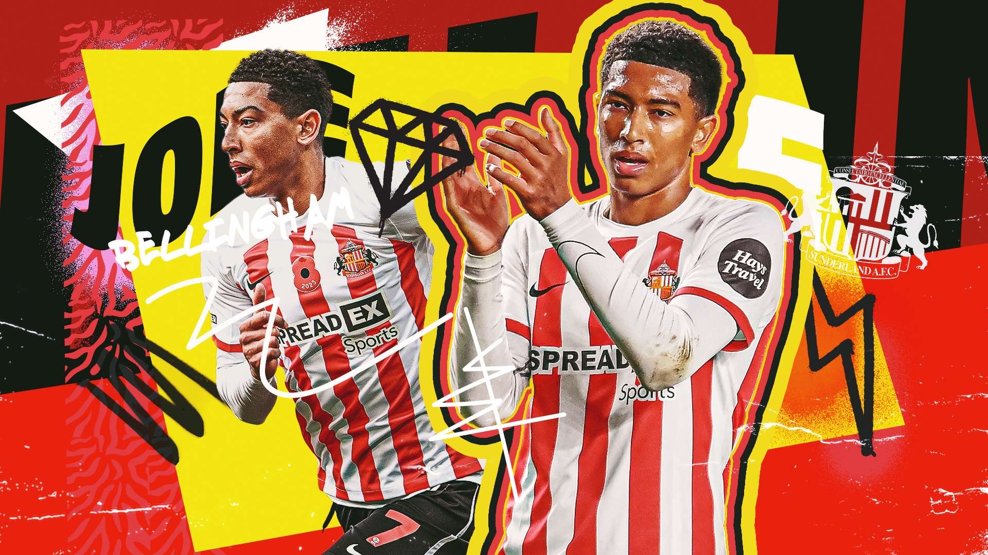 能够在职业 能够在职业